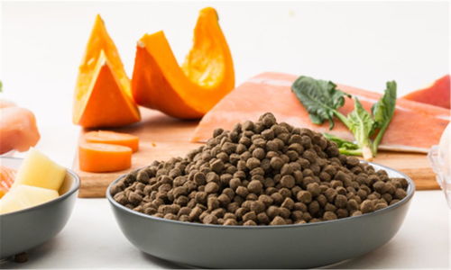 豆柴完成數千萬元A輪融資，金鼎資本領投，加速寵物食品市場布局